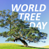 World tree day