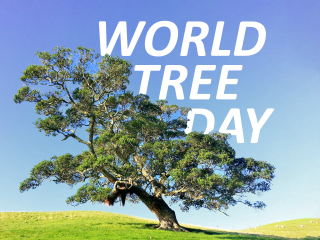 World tree day