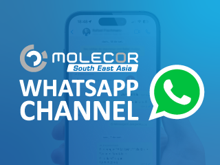 WhatsApp WhatsApp