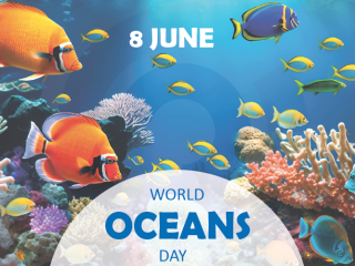 Ocean Day